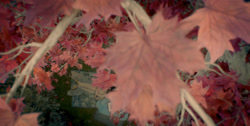 extant_HouseOfTheDragon_1x01-TheHeirsOfTheDragon_0972