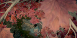 extant_HouseOfTheDragon_1x01-TheHeirsOfTheDragon_0974