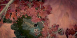 extant_HouseOfTheDragon_1x01-TheHeirsOfTheDragon_0975