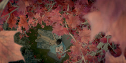 extant_HouseOfTheDragon_1x01-TheHeirsOfTheDragon_0976