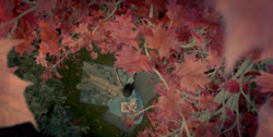 extant_HouseOfTheDragon_1x01-TheHeirsOfTheDragon_0977