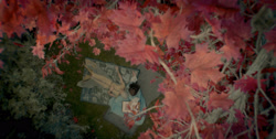 extant_HouseOfTheDragon_1x01-TheHeirsOfTheDragon_0979