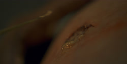 extant_HouseOfTheDragon_1x01-TheHeirsOfTheDragon_1110