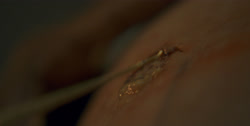 extant_HouseOfTheDragon_1x01-TheHeirsOfTheDragon_1111
