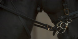 extant_HouseOfTheDragon_1x01-TheHeirsOfTheDragon_2900