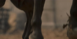 extant_HouseOfTheDragon_1x01-TheHeirsOfTheDragon_2939