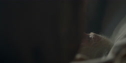 extant_HouseOfTheDragon_1x01-TheHeirsOfTheDragon_3177