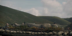 extant_HouseOfTheDragon_1x01-TheHeirsOfTheDragon_3491