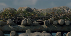extant_HouseOfTheDragon_1x01-TheHeirsOfTheDragon_3513