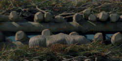 extant_HouseOfTheDragon_1x01-TheHeirsOfTheDragon_3516