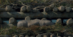 extant_HouseOfTheDragon_1x01-TheHeirsOfTheDragon_3517
