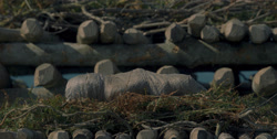 extant_HouseOfTheDragon_1x01-TheHeirsOfTheDragon_3518