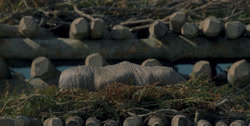 extant_HouseOfTheDragon_1x01-TheHeirsOfTheDragon_3519
