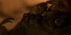 extant_HouseOfTheDragon_1x03-SecondOfHisName_0090