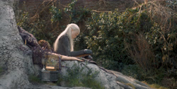 extant_HouseOfTheDragon_1x03-SecondOfHisName_0577