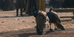 extant_HouseOfTheDragon_1x03-SecondOfHisName_1070