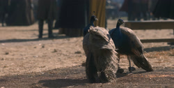 extant_HouseOfTheDragon_1x03-SecondOfHisName_1071