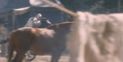 extant_HouseOfTheDragon_1x03-SecondOfHisName_1371