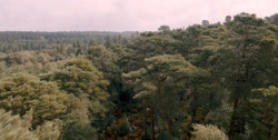 extant_HouseOfTheDragon_1x03-SecondOfHisName_1375