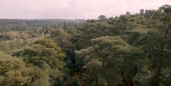 extant_HouseOfTheDragon_1x03-SecondOfHisName_1376