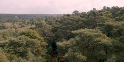 extant_HouseOfTheDragon_1x03-SecondOfHisName_1377