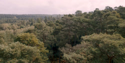 extant_HouseOfTheDragon_1x03-SecondOfHisName_1378