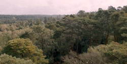 extant_HouseOfTheDragon_1x03-SecondOfHisName_1379