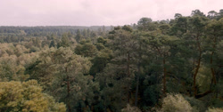 extant_HouseOfTheDragon_1x03-SecondOfHisName_1380