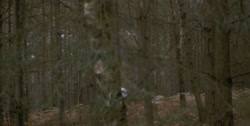 extant_HouseOfTheDragon_1x03-SecondOfHisName_1387
