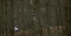 extant_HouseOfTheDragon_1x03-SecondOfHisName_1388