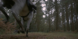 extant_HouseOfTheDragon_1x03-SecondOfHisName_1396