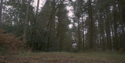 extant_HouseOfTheDragon_1x03-SecondOfHisName_1398