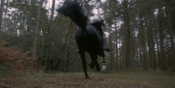extant_HouseOfTheDragon_1x03-SecondOfHisName_1399
