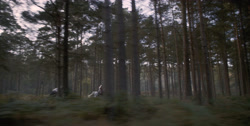 extant_HouseOfTheDragon_1x03-SecondOfHisName_1400