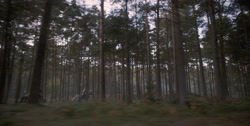 extant_HouseOfTheDragon_1x03-SecondOfHisName_1402