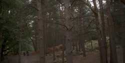 extant_HouseOfTheDragon_1x03-SecondOfHisName_1506