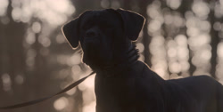 extant_HouseOfTheDragon_1x03-SecondOfHisName_1586