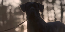 extant_HouseOfTheDragon_1x03-SecondOfHisName_1587