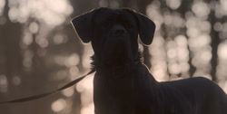 extant_HouseOfTheDragon_1x03-SecondOfHisName_1588