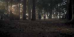 extant_HouseOfTheDragon_1x03-SecondOfHisName_1677