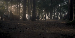 extant_HouseOfTheDragon_1x03-SecondOfHisName_1681