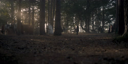 extant_HouseOfTheDragon_1x03-SecondOfHisName_1682