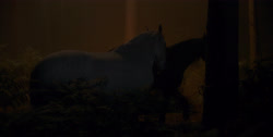 extant_HouseOfTheDragon_1x03-SecondOfHisName_2414