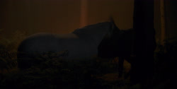 extant_HouseOfTheDragon_1x03-SecondOfHisName_2415