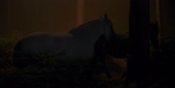 extant_HouseOfTheDragon_1x03-SecondOfHisName_2416