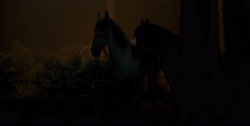 extant_HouseOfTheDragon_1x03-SecondOfHisName_2435