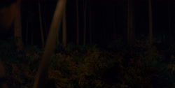 extant_HouseOfTheDragon_1x03-SecondOfHisName_2470