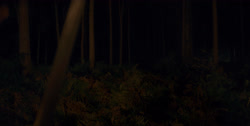 extant_HouseOfTheDragon_1x03-SecondOfHisName_2471