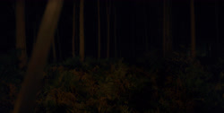 extant_HouseOfTheDragon_1x03-SecondOfHisName_2472