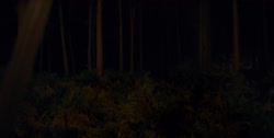 extant_HouseOfTheDragon_1x03-SecondOfHisName_2473